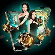 6a65 Live Casino